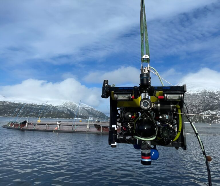 Researchers surprised by penned fish responses to robots