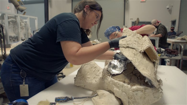 A person leans over a work table to work on a dinosaur bone fossils.