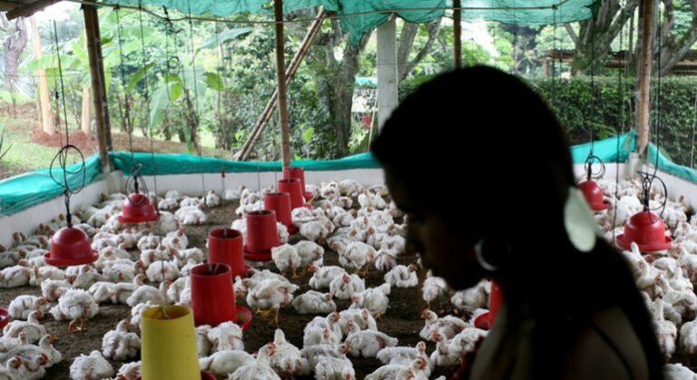 Pandemic experts express concern over avian influenza spread to humans