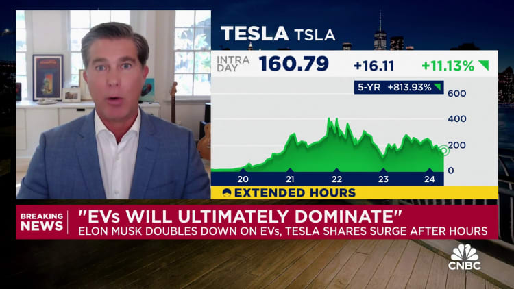 Tesla profits and margins might go lower even as volumes go higher, says shareholder Ross Gerber