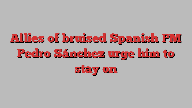 Allies of bruised Spanish PM Pedro Sánchez urge him to stay on