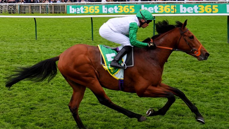 Haatem wins at Newmarket for Sean Levey and Richard Hannon