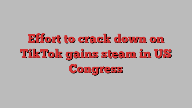 Effort to crack down on TikTok gains steam in US Congress