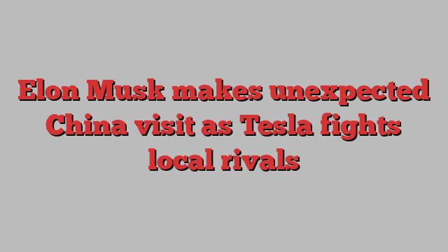 Elon Musk makes unexpected China visit as Tesla fights local rivals