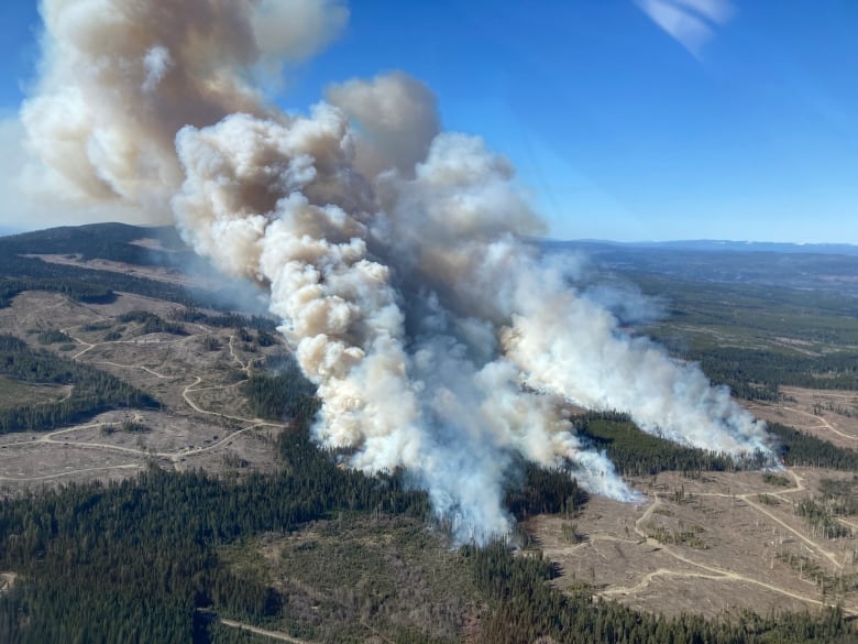 A large fire burns on a treed ridge.