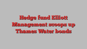 Hedge fund Elliott Management scoops up Thames Water bonds