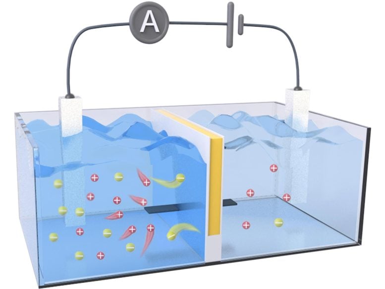 Salt Battery Harvests Osmotic Energy