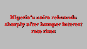 Nigeria’s naira rebounds sharply after bumper interest rate rises