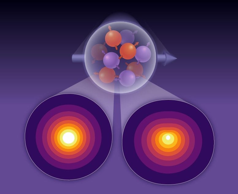 Spatial Distributions of the Momentum of up and Down Quarks Within a Proton