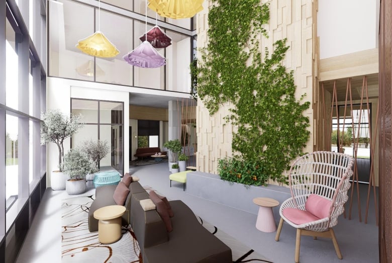 Living room with modern chairs, natural light, and plants.