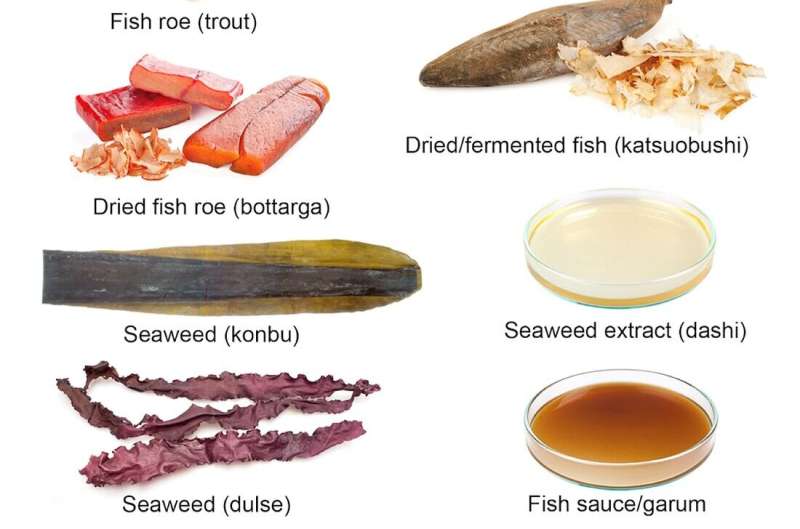 Scrap fish and invasive species can liven up vegetables – University of Copenhagen