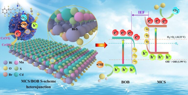 A chemically bonded photocatalyst with rich oxygen vacancies for improved photocatalytic decontamination