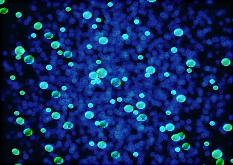 Microbes in environment drove methane emissions more than fossil fuels between 2020 and 2022, analysis finds