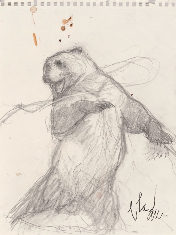 A drawing shows a bear rearing up on its hind legs, swatting at something circling its head