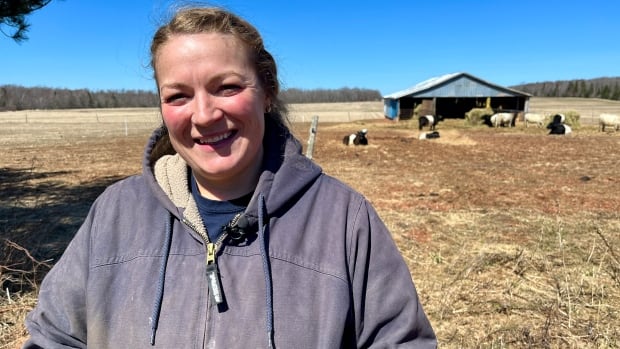 Cattle are boosting the soil on this P.E.I. farm — and fighting climate change