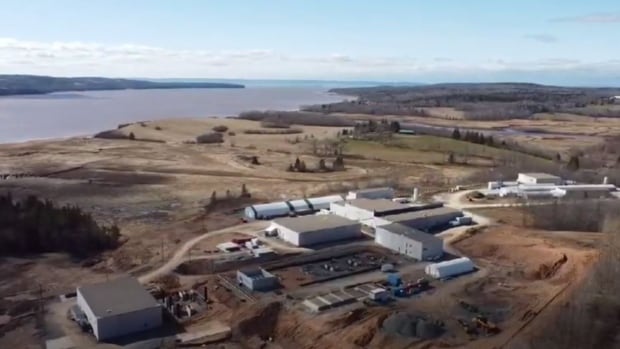 N.S. salmon operation in receivership after equipment failure