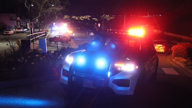 Police investigate fatal stabbing on White Rock, B.C., waterfront