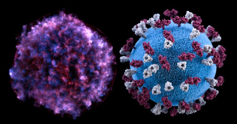 Supernova or Coronavirus: Can You Tell the Difference?