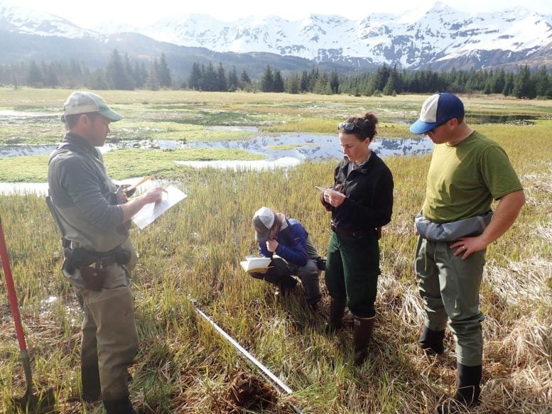 Jessica DePaolis Sedimentary Core Samples in Montague Island, Alaska