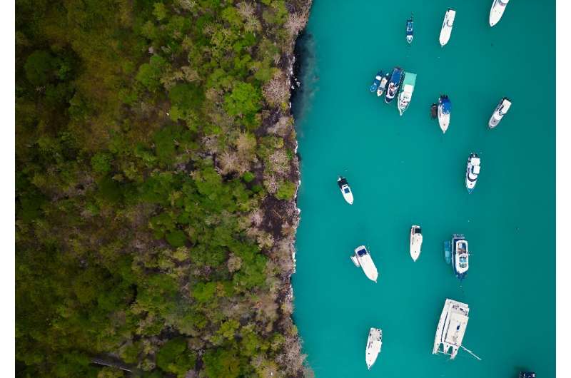 The Galapagos are part of a marine reserve and classified a World Heritage Site