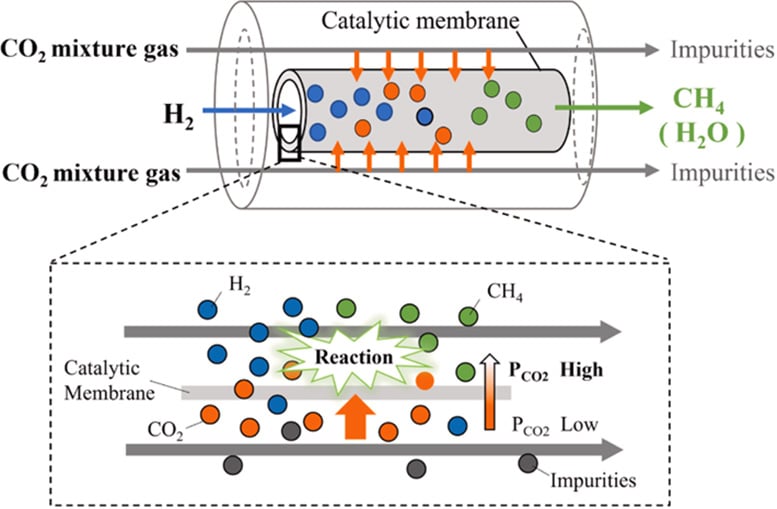 Schematic of the Distributor Type Membrane Reactor for CO2 Capture