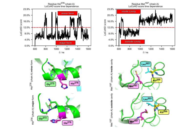 A new Hungarian method may aid protein research