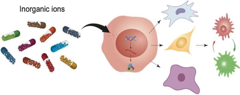 Ancient medicine blends with modern-day research in new tissue regeneration method