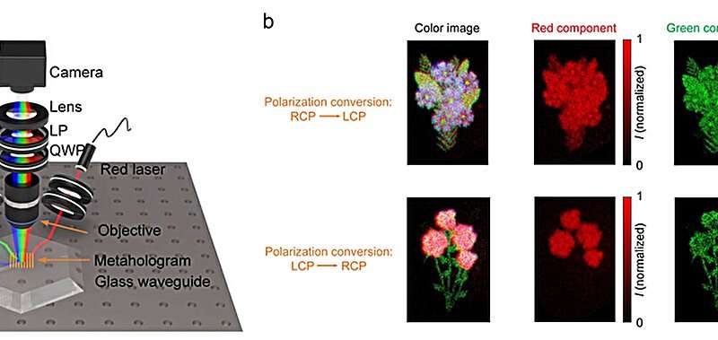 K-space translation strategy lets metasurfaces project multiple images without crosstalk