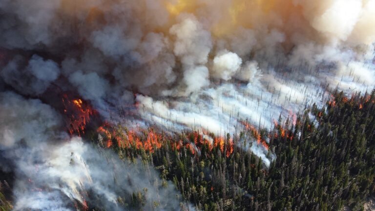 Can satellites combat wildfires? Inside the booming ‘space race’ to fight the flames