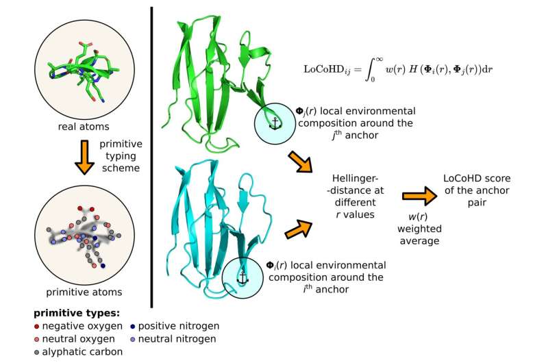 A new Hungarian method may aid protein research