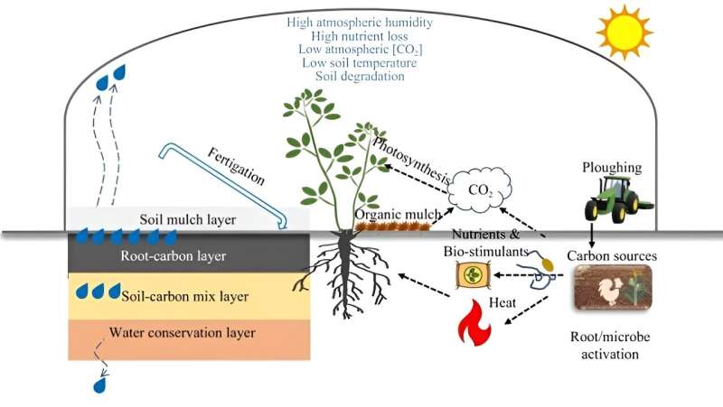 Plastic-greenhouse agriculture: A novel soil profile design for global sustainability and enhanced crop production