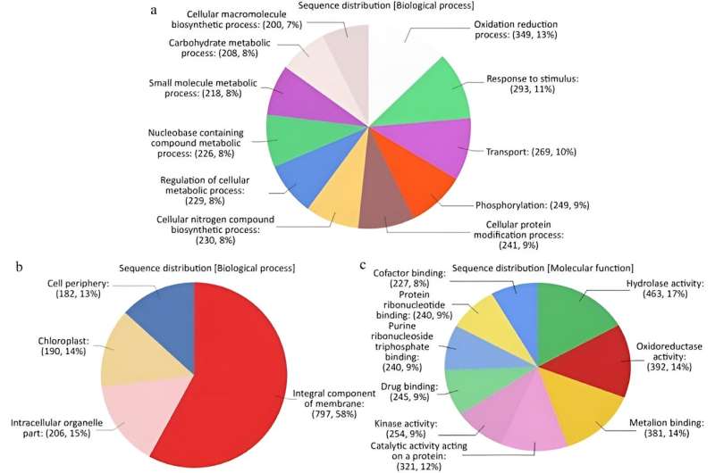 Unveiling the genetic interplay in mpatiens downy mildew: A transcriptome-based approach to enhancing disease resistance