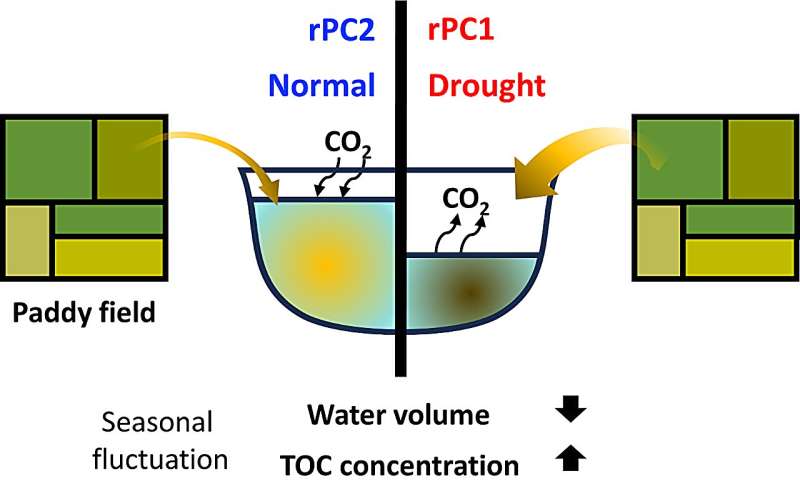 Unraveling the drought dilemma: can reservoirs be a carbon source?