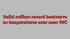 Delhi suffers record heatwave as temperatures soar near 50C