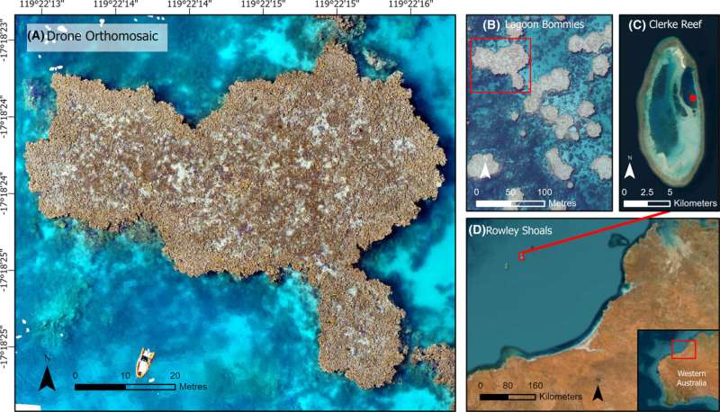 Drones offer new perspective on vulnerable tide-exposed coral reefs