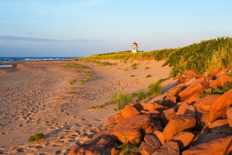 A beach at  sunset