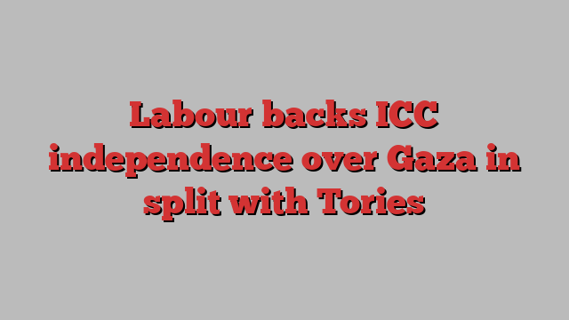 Labour backs ICC independence over Gaza in split with Tories