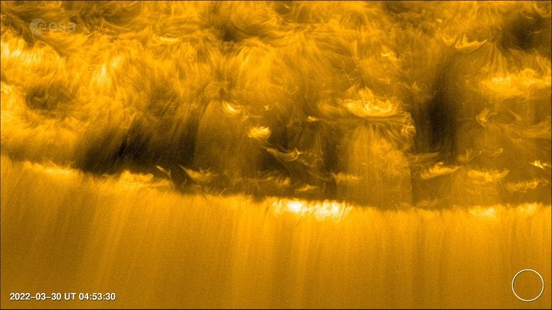 Coronal Hole in Sun