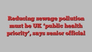 Reducing sewage pollution must be UK ‘public health priority’, says senior official