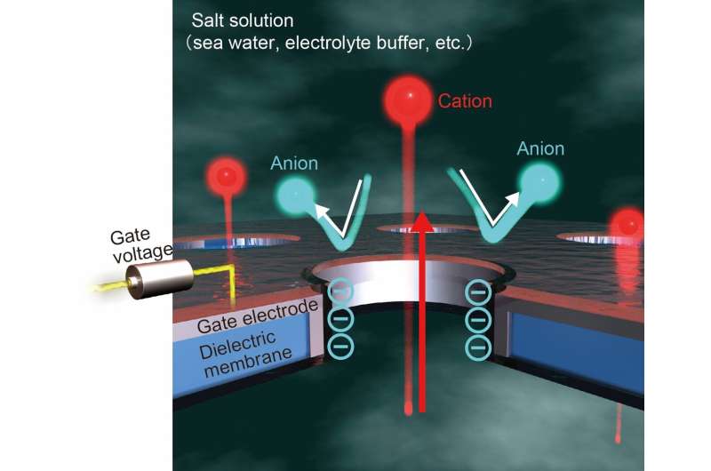 Controlling ion transport for a blue energy future