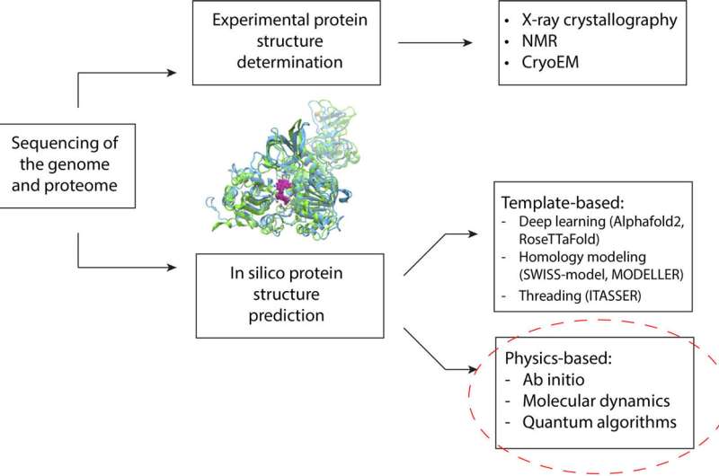 Researchers apply quantum computing methods to protein structure prediction