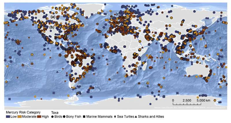 BRI announces publication of in-depth scientific paper onmercury concentrations in fish and wildlife on a global scale