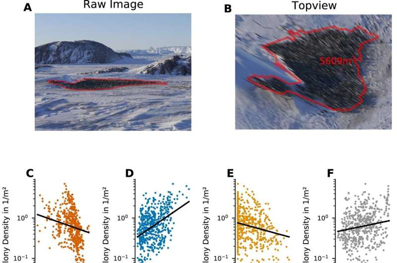 Scientists count emperor penguins in the Antarctic to investigate factors affecting population