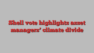 Shell vote highlights asset managers’ climate divide