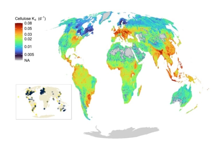 A global map showing the estimated rates of decomposition for organic matter in waterways. Red indicates faster decomposition. 