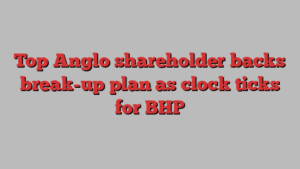 Top Anglo shareholder backs break-up plan as clock ticks for BHP