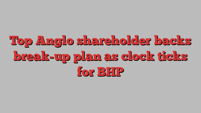 Top Anglo shareholder backs break-up plan as clock ticks for BHP