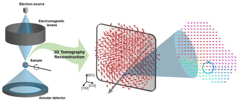 Researchers reveal the ‘three-dimensional vortex’ of zero-dimensional ferroelectrics