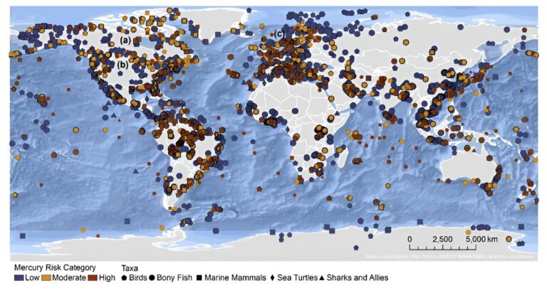 Researchers investigate mercury concentrations in fish and wildlife on a global scale