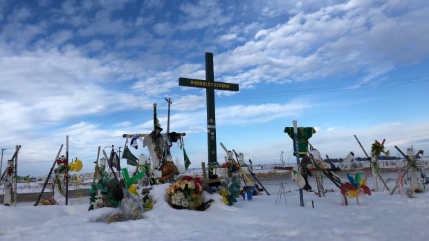 Families of Humboldt Broncos crash victims have no standing to sue for compensation, lawyer for trucker argues